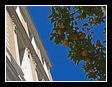 Côte d'Azur